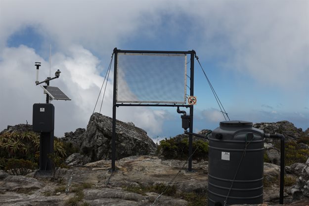Cape Town launches fog harvesting pilot project on Table Mountain